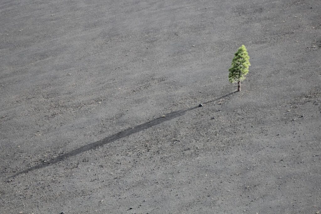 Photo Growth mindset