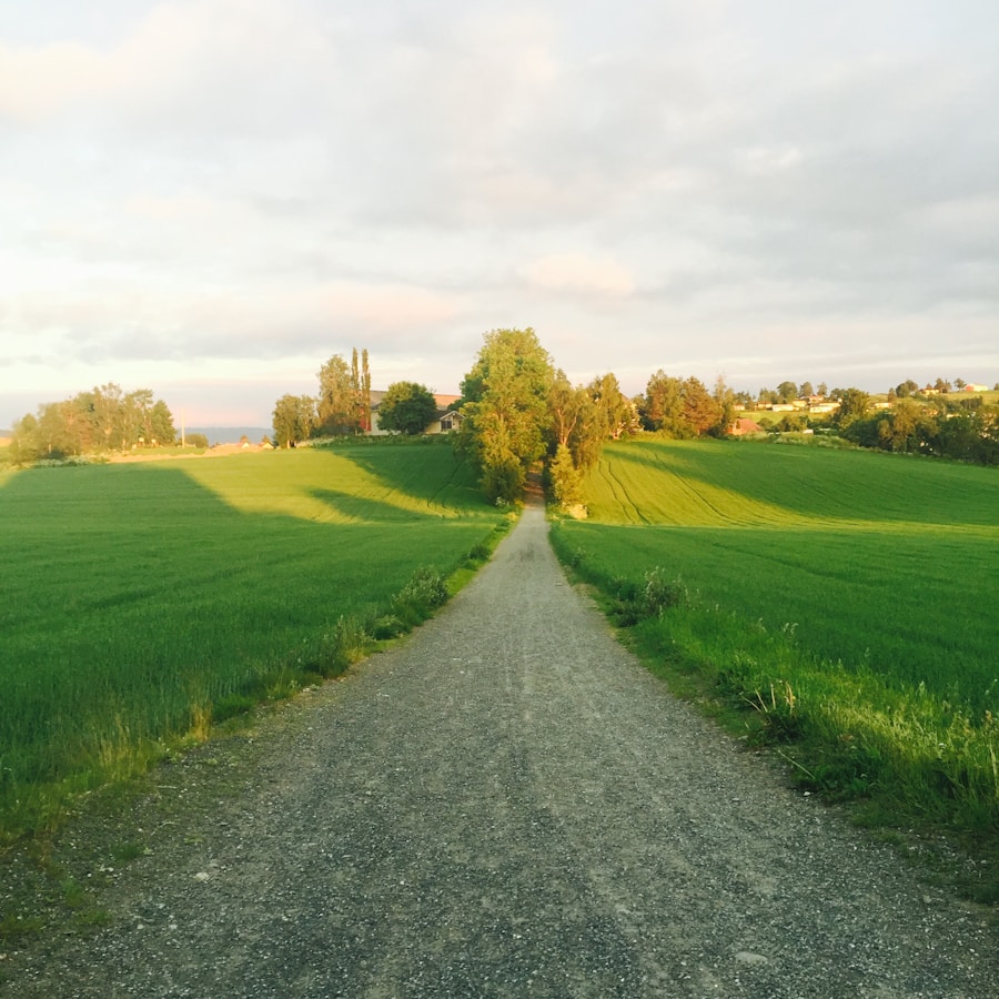 Photo "evening walk as a form of relaxation"