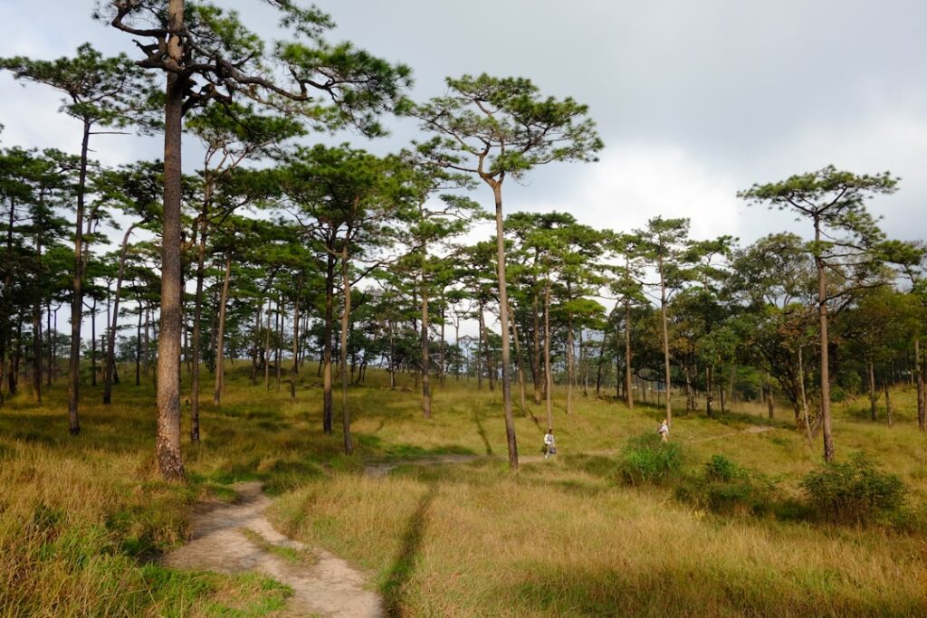 Photo trekking in Thailand